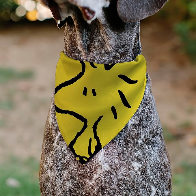 Peanuts Pet Bandana Peanuts Woodstock Pose Close Up Yellow Slip On Collar Bandana Only