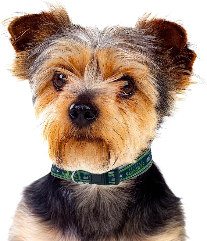 Pets First NFL Seattle Seahawks Licensed PET COLLAR, Medium - Heavy-Duty, Strong, and Durable Dog Collar. Available in 31 Football Teams and 4 Sizes