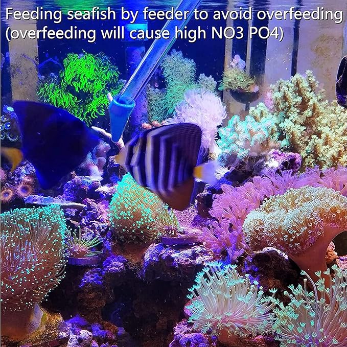 Aquarium Choice Coral Feeder Long Syringe, 2 Units, SPS HPS Marine Reef Coral Feeder Tool, 2 Tweezers for Coral Frag, Fish Excreta Cleaner