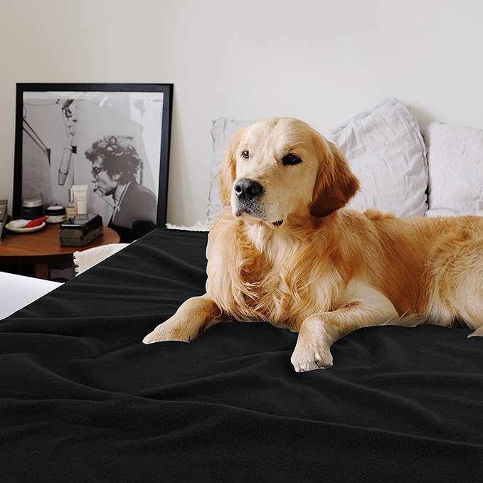 Fleece Throw Blankets Bulk Fleece Blankets Solid Wholesale Lightweight Warm Soft for Pet Bed Sofa Couch Office Wedding Gifts Travel Seasons (Black, Pack of 6-50x60 Inches)