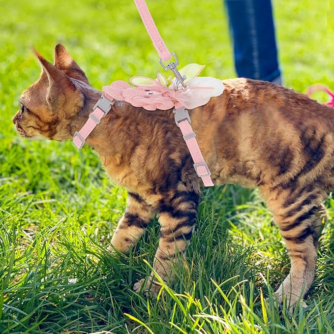 TIESOME Cat Harness and Leash Set, Adjustable Gradient Kitten Harness Escape Proof Harness with Leash for Kitty Outdoor Walking (Ribbon Bear Pink)