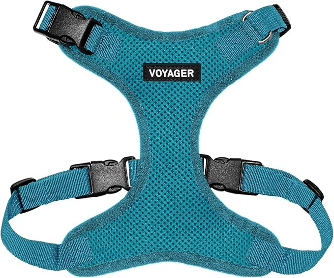 Voyager Step-in Pet Harness - All Weather Mesh, Adjustable Step in Harness for Cats and Dogs by Best Pet Supplies - Turquoise, XS
