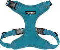 Voyager Step-in Pet Harness - All Weather Mesh, Adjustable Step in Harness for Cats and Dogs by Best Pet Supplies - Turquoise, XL