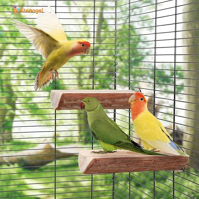 Niteangel Parrot Cage Perch, Wooden Platform for Birds (2 Packs)