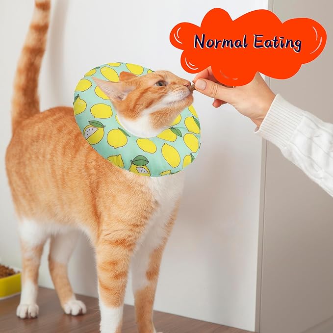 Cat Cone Collar Soft, Adjustable Cat Recovery Collars Kitten Cones to Stop Licking, Cute Donut Neck Collar After Surgery, Elizabethan Collar for Cats After Spay (Green Lemon, Small)