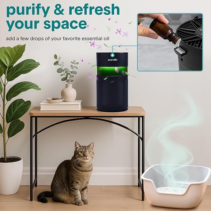 SereneLife Portable Air Purifier - Small Air Purifier with Aroma Box & Ambient Light, High Filtration Efficiency, 2-Speed, Timer & Sleep Mode, Filter Change Reminder, 6 x 6 x 12 in. (Black)