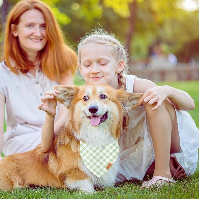 2Pcs Dog Bandanas Sage Green Plaid Triangle Pet Scarf Adjustable Puppy Neckerchief Dog Cat Bib for Spring Summer Medium Large Boy Girl Pet Costume Accessories