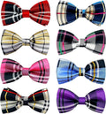 PET SHOW 8pcs Plaid Small Dogs Collar Bow Ties Puppies Cats Collar Charms Accessories Slides Attachment Bowties for Birthday Wedding Parties Assorted