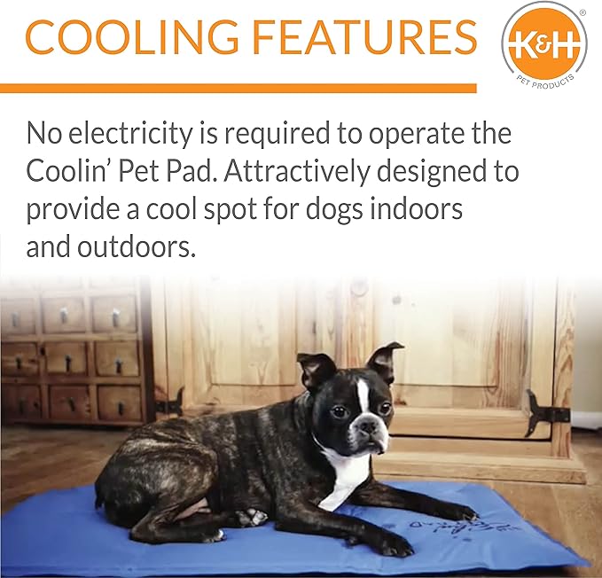 K&H Pet Products Coolin' Pet Pad Blue Small 11 X 15 Inches