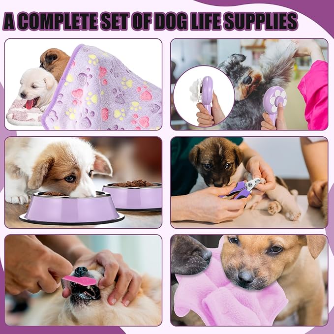Abbylike 50 Pcs Puppy Supplies Starter Kit for Small Dogs Puppy Essentials Includes Leash, Bowls, Teeth Brushes, Water Bottle, and More Accessories for Dogs Pet Day Welcome Gift(Purple)