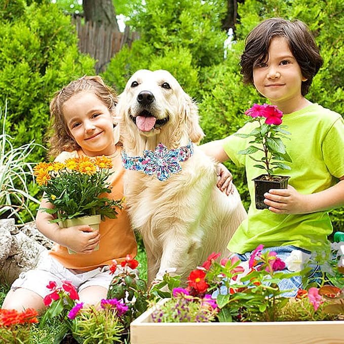 Lionheart Glory Floral Dog Collar - Cute, Soft & Durable Adjustable Collar for Small Dogs