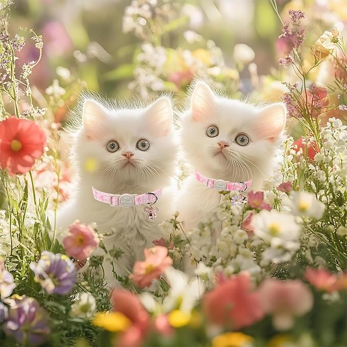 2 Pack Pink Cat Collars - Cute Bow & Daisy Breakaway Cat Collar with Bell & Matching Pendant, Soft Adjustable Spring Summer Girly Kitten Collars for Girl Cats