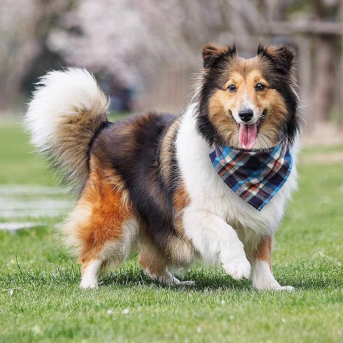 8 Pack Large Dog Bandanas, Reversible Plaid Dog Bandanas Boy Girl Painting Bibs Scarf Kerchief, Washable and Adjustable Spring Summer Fall Bandana for Dogs Cats Pets (XX-Large(80cm))
