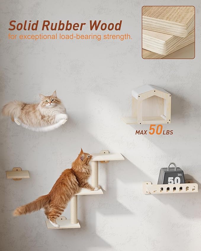Cat Wall Shelves for Large Cats, 5-in-1 Cat Wall Furniture with Large Hammock and Wide Perch, Wooded Wall Climbing Furniture Set for Indoor Cats