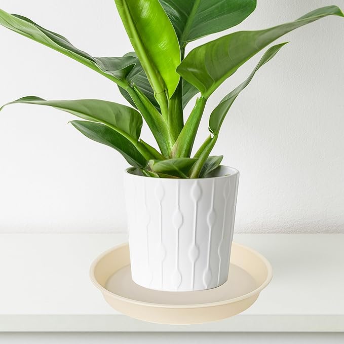 6 Pack of 8 inch Plant Saucer Blue, Plastic Plant Water Tray 8 inch Round, Flower Plant Saucers for Indoors, Dlant Dishes Saucer for Planter 7"/8" (8", Beige)