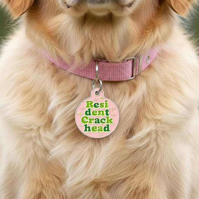 Bad Tags Personalized Dog and Cat ID Tags in 25+ Designs and 2 Sizes - 5 Lines of Custom Engraved Text - Funny Cute Personalized Pet Tags (Resident Crackhead - Pink, Small (1 inch))