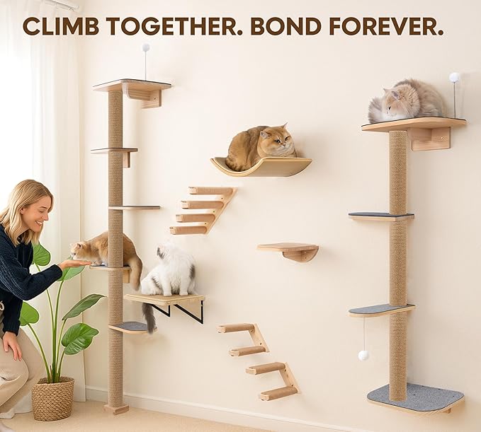 Floor to Ceiling Cat Tree for Kittens, 5-Tier Wall Mounted Cat Wall Shelves with Grey Felt Pads, Adjustable Wild Simulation Cat Tower, Natural Pine Wood Platforms for Climb, Scratch and Lookout
