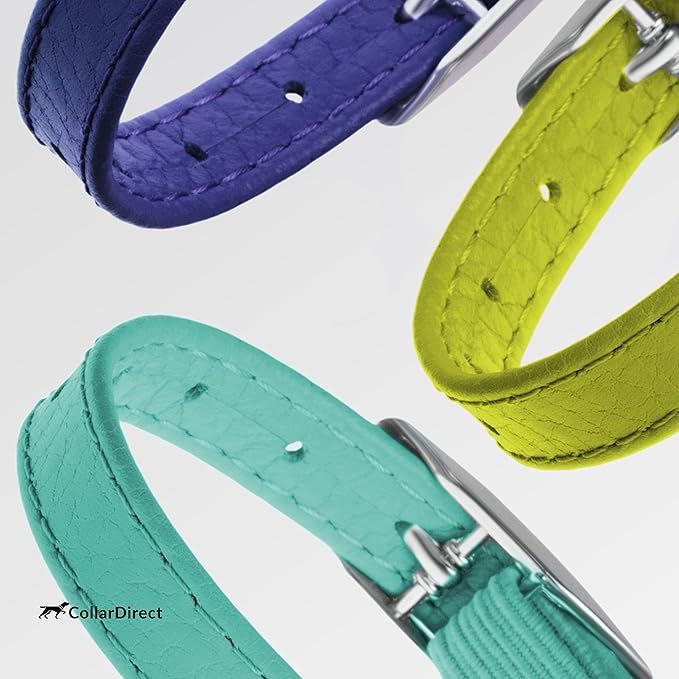 CollarDirect Leather Cat Collar, Cat Safety Collar with Elastic Strap, Kitten Collar for Cat with Bell Black Blue Red Orange Lime Green (Neck Fit 8"-11", Mint Green)