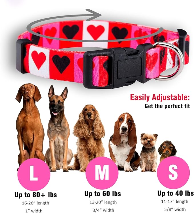 Native Pup Valentine’s Dog Collar- Valentines Day Pet Collars- Valentine Girly Hearts- Pink Red Heart- Cute Boy Girl Puppy Gift- Adjustable for Small, Medium, Large Breeds (Boxed Hearts, Small)