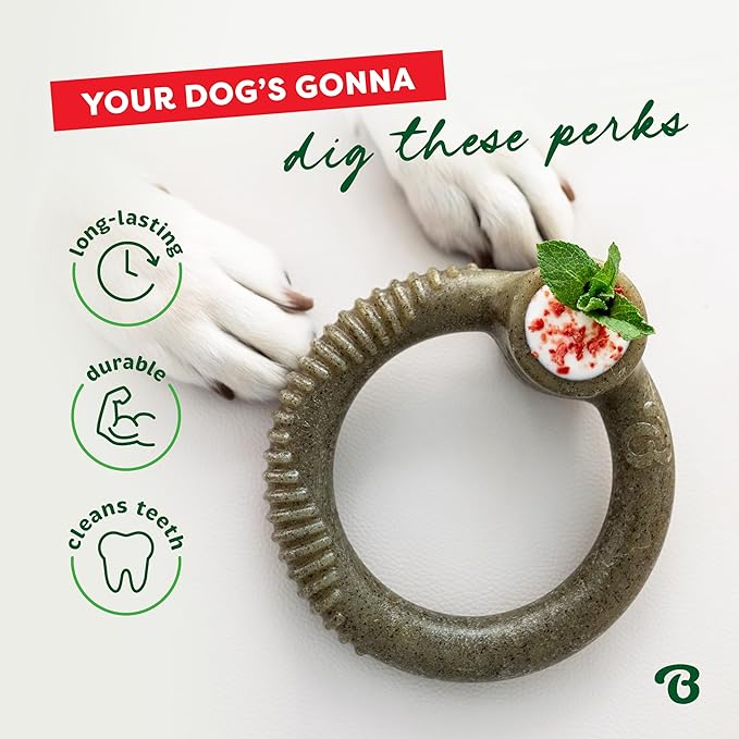 Benebone Peppermint Ring – Limited Edition Holiday Flavor, Durable Chew Toy for Aggressive Chewers, Made in USA, Medium