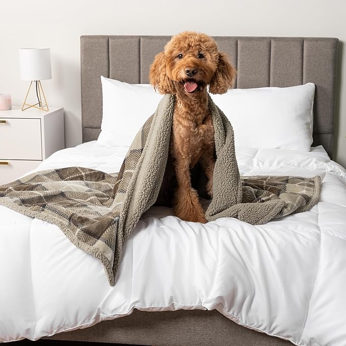 PetAmi Waterproof Dog Blanket for Small Medium Dog Puppy Cat Throw for Couch Cover Leakproof Protection, Sherpa Fleece, Reversible Soft Washable 29x40 Plaid Taupe