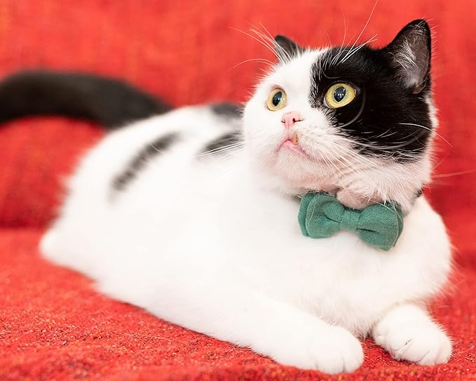 Collar for Cat Pet Breakaway with Bell Bowtie Detachable Bow Adjustable Safety Kitten Puppy Girl Boy 2pcs Christmas-B