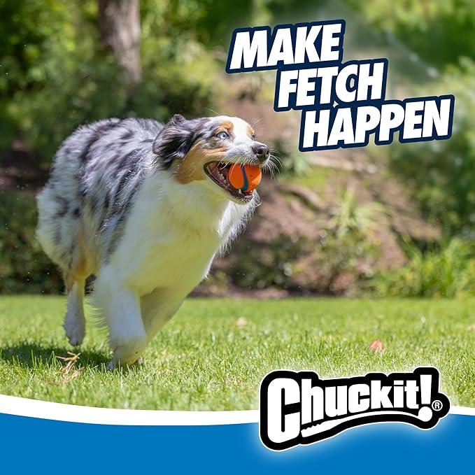 Chuckit! Ultra Ball Dog Toy - Medium Bouncy Fetch Balls for Dogs 20-60 lbs - Made from Durable Rubber - Floating Water Pet Toys - Size Medium - 2.5-inch Diameter -,2 Count (Pack of 4)