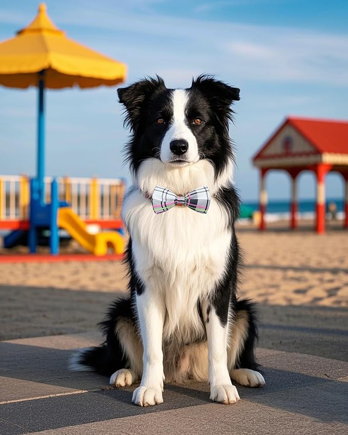 PET SHOW 5 Pack Pet Big Dogs Collar Embellishment Attachment Bow Ties for Medium Large Dogs Collar Charms Accessories Slides Bowties for Birthday Wedding Parties Assorted A Style