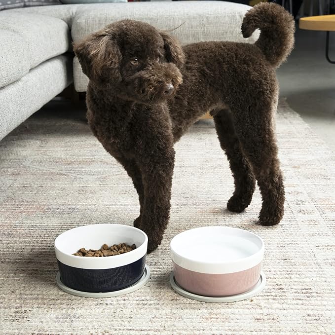 Waggo Habit Silicone Dog Placemat – Set of 2 Modern Heavyweight Silicone Dog Food Mats, Dishwasher Safe, Non-Slip, Solid Color – Light Grey (Medium, 7")