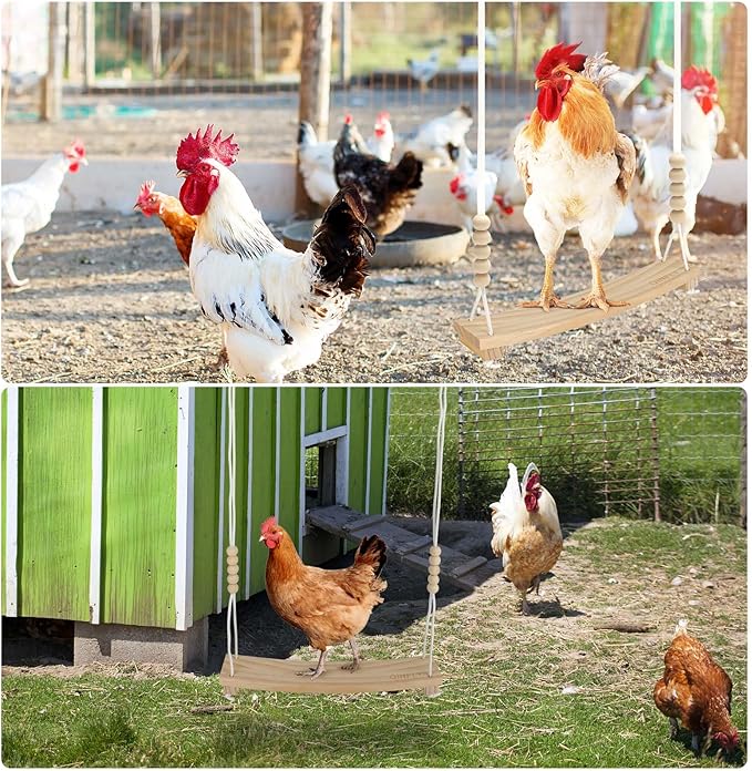 3PCS Chicken Toys for Coop Accessories,Chicken Swing, Vegetable Hanging Feeder,Chicken Veggies Skewer,Chicken Starter Kit for Chicken Coop,Run,Playground Must Haves