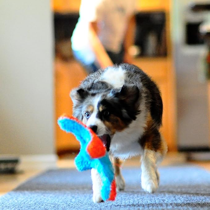 Chuckit! Indoor Fetch Squirrel Toy for Dogs - Interactive Dog Toys for Boredom, Orange and Blue