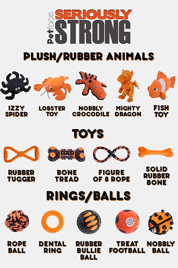 Petface Seriously Strong Bone Tread Dog Toy