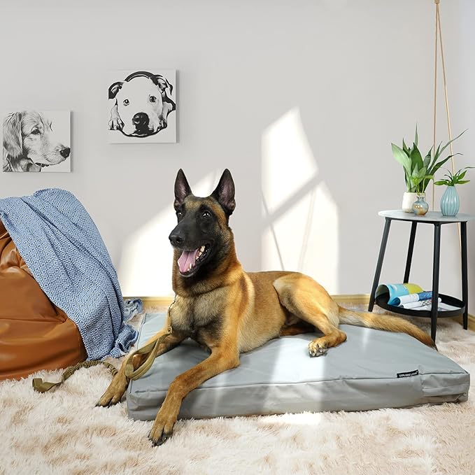 Explore Land Waterproof Dog Bed Cover Canvas Washable Dog Crate Pad Replacement Cover for 48 Inch Crate, 46Lx29Wx4H inch, Gray