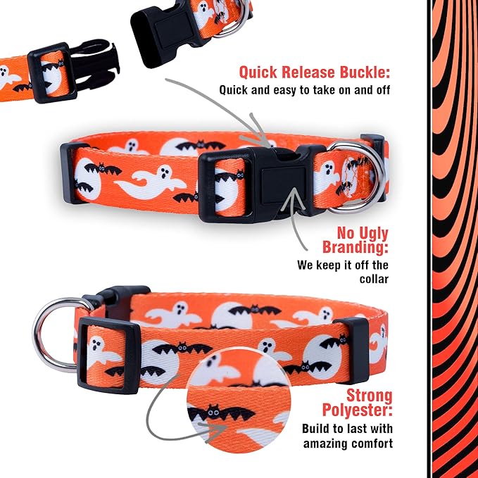 Native Pup Halloween Dog Collar- Spooky Fall Themed Horror Costume Collars- Skull, Pumpkin, Ghost, Bat, Witch, Candy Corn, Spider- Adjustable for Small, Medium, Large Breeds (Small, Ghosts)
