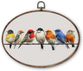 DILSJ Bird Oval Wall Art Decor, Rustic Nature Colorful Sparrow Birds Canvas Wall Art Framed, Watercolor Rustic Sparrow Hanging Decorations for Living Room Bedroom Home, 8.5x11 Inch