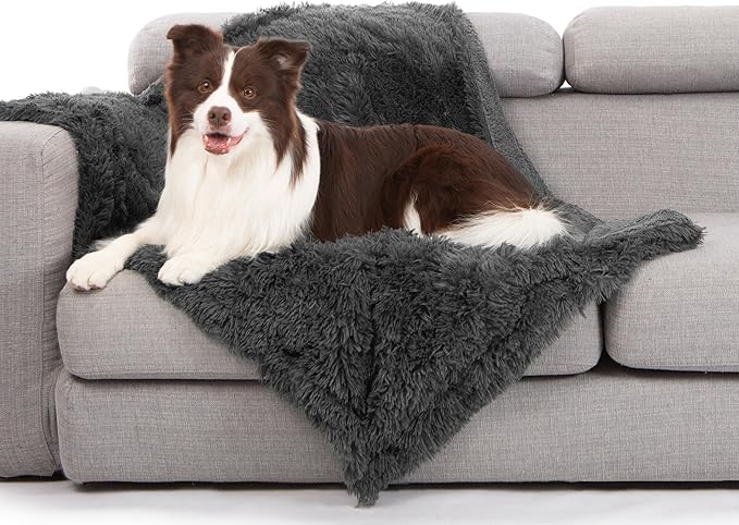 gogobunny Waterproof Dog Blanket for Couch & Furniture Protection - Super Soft Reversible Throw for Large Dogs & Cats, Calming Washable Fur & Sherpa Pet Blanket (40x50 Inch, Grey)