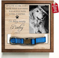Pet Memorial Gifts Bereavement Gifts Cat Memorial Dog Loss Sympathy Custom Cat Picture Collar Frames Keepsakes Death Remembrance Funerary Decor Wall Best Dog Ever