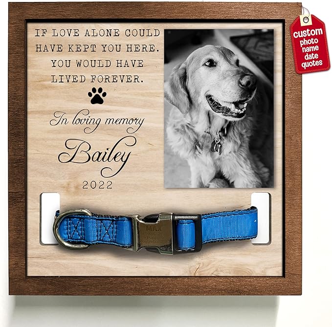 Pet Memorial Gifts Bereavement Gifts Cat Memorial Dog Loss Sympathy Custom Cat Picture Collar Frames Keepsakes Death Remembrance Funerary Decor Wall Best Dog Ever
