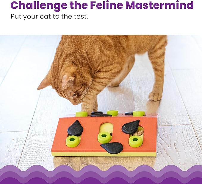Catstages by Nina Ottosson Melon Madness Puzzle & Play – Interactive Treat Puzzle Feeder for Cats, 12 Hidden Treat Compartments Slow Feeder, Durable & Easy-Clean, 10 Inches, Pink