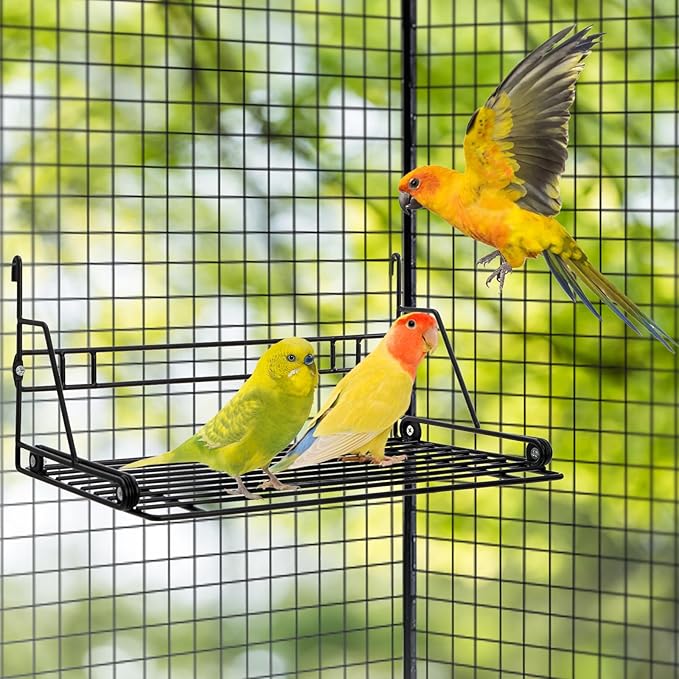 Okllen Bird Perch Stand, Bird Cage Platform Wire Patio Sundeck Playground for Parrots Cockatiels and Small Birds, 12" Lx8 W