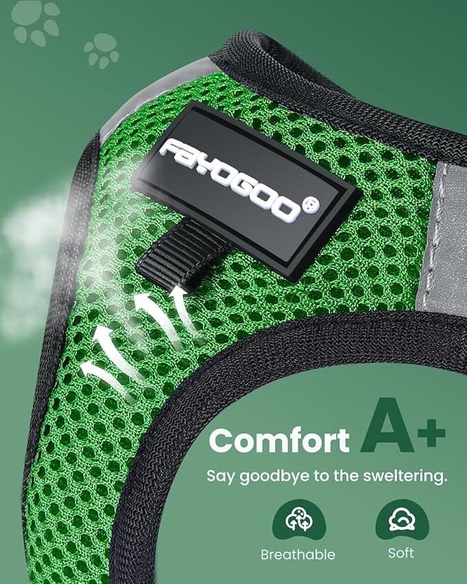 FAYOGOO Cat Harness, Cat Leash and Harness Set for Walking Escape Proof, Harness for Small Cats/Small Dogs, Large Kitten/Puppy Harness and Leash, Harness for Cats S-XXL(Neon Green, XX-Large)