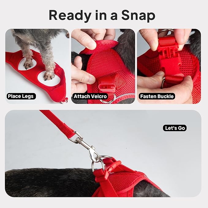 PetiFine Step in Small Dog Harness and Leash Set, Breathable All Weather Air Mesh Reflective Escape Proof, Step-in Vest Harnesses for Puppy(S, Red)