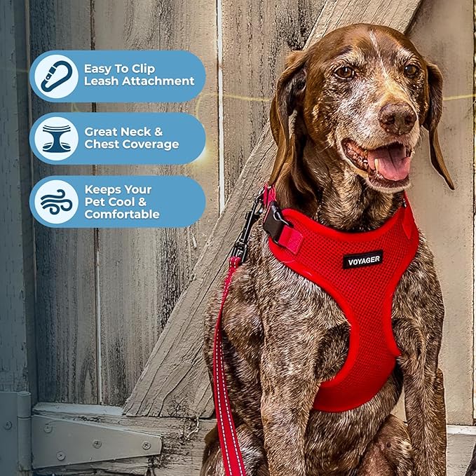 Voyager Step-in Pet Harness - All Weather Mesh, Adjustable Step in Harness for Cats and Dogs by Best Pet Supplies - Red, S