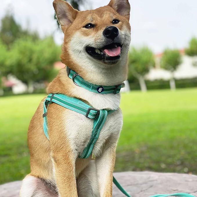 Blueberry Pet Essentials Matching Large Dog Collar | Adjustable Classic Solid Color Nylon Dog Collars for Large Dogs | Reflective Rouge Red Dog Collar for Large Dogs