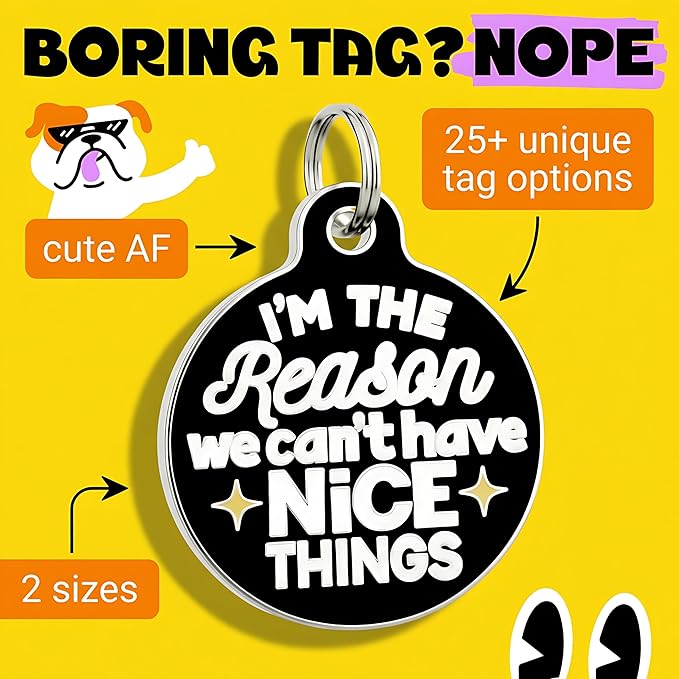 Bad Tags Personalized Dog and Cat ID Tags in 25+ Designs and 2 Sizes - 5 Lines of Custom Engraved Text - Funny Cute Personalized Pet Tags (I'm The Reason We Can't Have Nice Things, Large (1.25 inch))