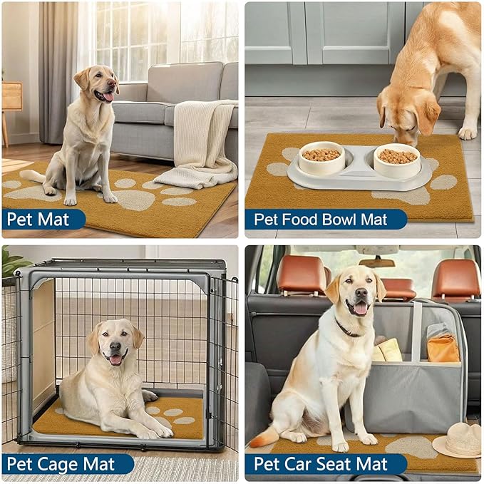 Buganda Dog Door Mat for Muddy Paws, Absorbent Dirt Trapper Washable Indoor Doormats, Non Slip Low-Profile Mud Mat for Dogs, Front Entrance Doormat for Inside Floor (36x24 Inches, Yellow)