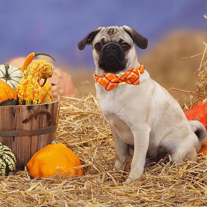 Fall Dog Collar, Pet Collar Bow Orange Plaid Dog Collar Girl Boy Holiday Pet Collar Gift Collars Cute Soft Puppy Collars for Small Dogs