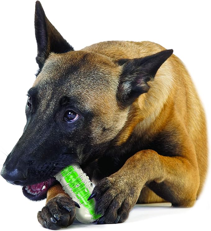Petstages Crunchcore Bone Water Bottle Alternative Dog Chew Toy, Large