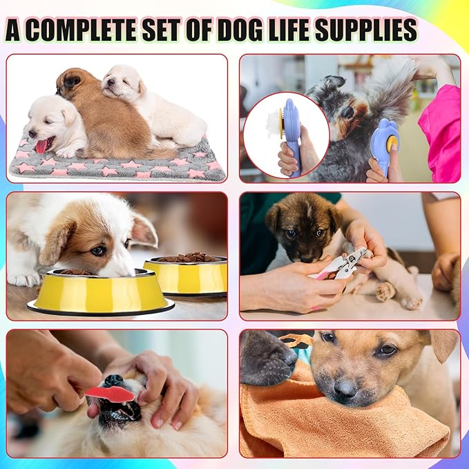 Abbylike 50 Pcs Puppy Supplies Starter Kit for Small Dogs Puppy Essentials Includes Leash, Bowls, Teeth Brushes, Water Bottle, and More Accessories for Dogs Pet Day Welcome Gift(Colorful)