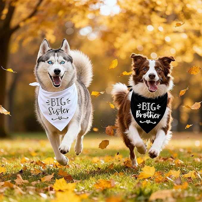 2 Pack Dog Bandanas for Pregnancy Announcement, Cute Adjustable Pet Bandana Scarf for Small Medium Large Dogs, Gender Reveal Puppy Accessories, Soft Breathable Fabric for Puppy Cats